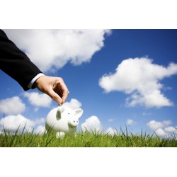 Hummingbird printed t-shirt